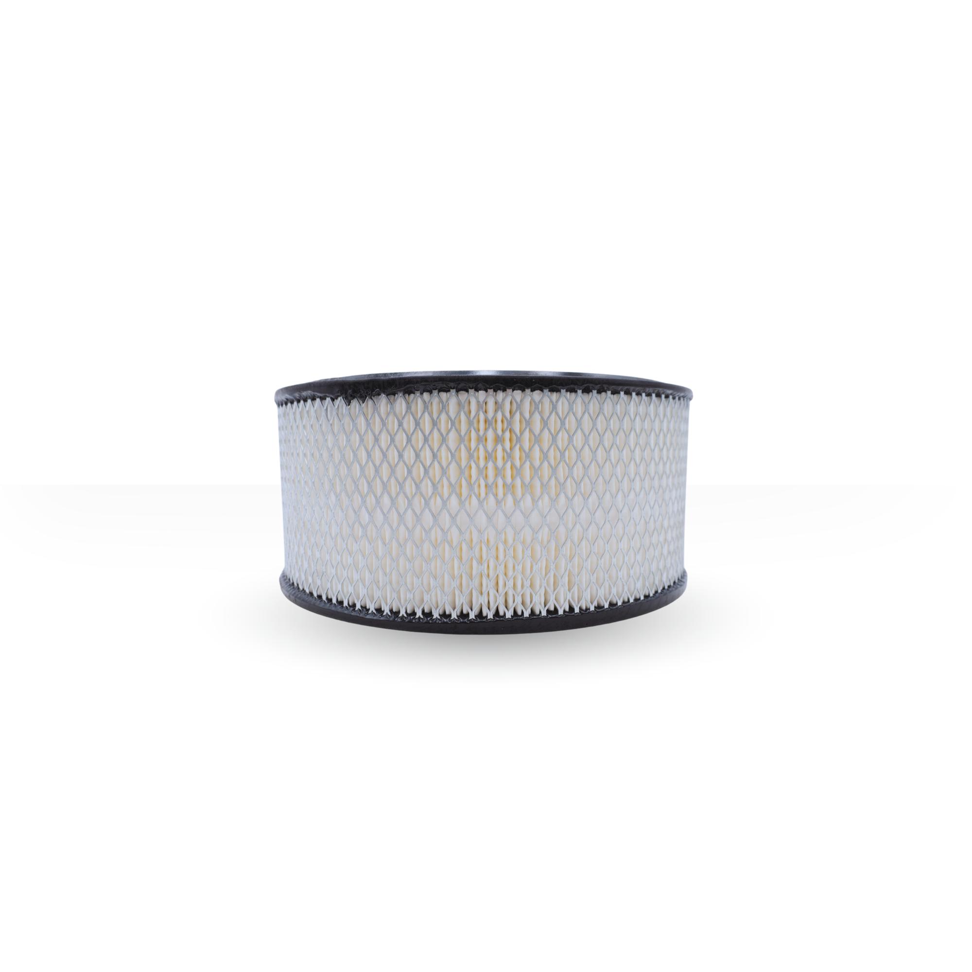 Filtro De Aire Woodward Sales 30016790