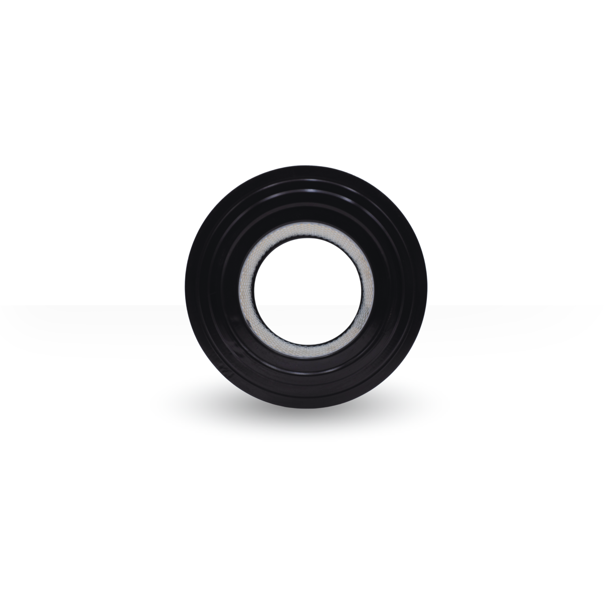 Filtro De Aire Woodward Sales 30016790