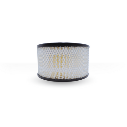 43-663-1 Filtro de Aire Compatible con Compair