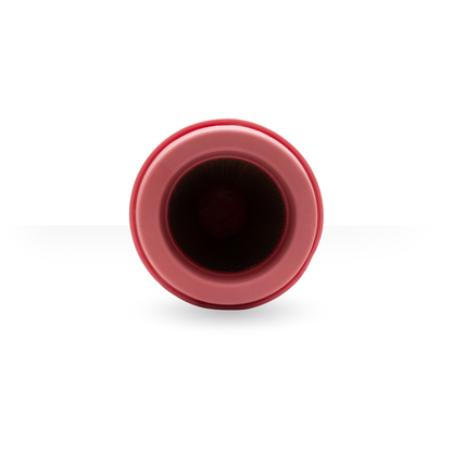 100007979 Filtro de Aire Compatible con Compair