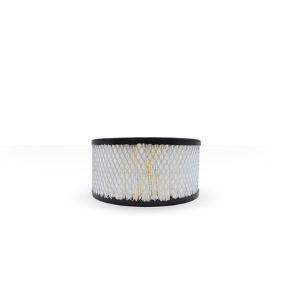 SK5IF Filtro de Aire Compatible con Mattei