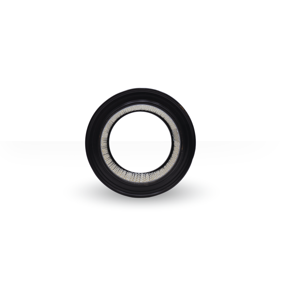 55528 Filtro de Aire Compatible con Compair