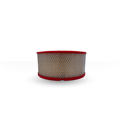 Filtro De Aire Mann Filter C27230