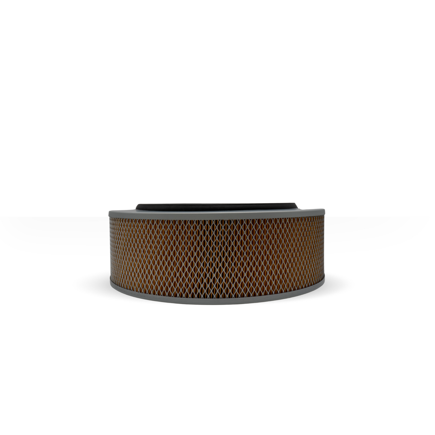 Filtro De Aire Woodward Sales 641484
