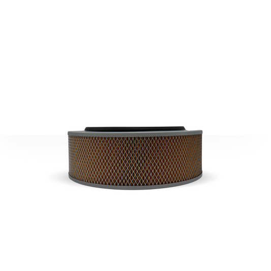 Filtro De Aire Woodward Sales 641484